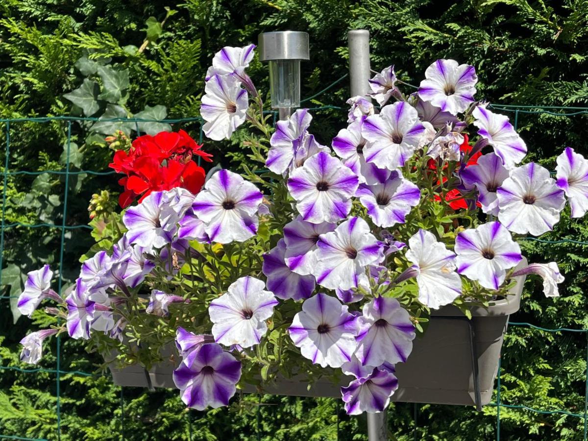 Froberville Les Floralies 아파트 외부 사진